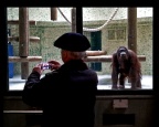 Paris, Jardin des Plantes, Dimanche 12 février