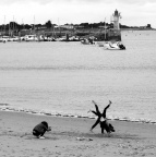 La Flotte, samedi 6 mai