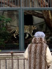 Cinquante ans après, Jardin des Plantes, Paris