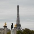 a Paris oct 17 PL zoom 021 ter mmm.jpg