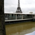 a Paris janv 18 PL oly 187 mmm.jpg