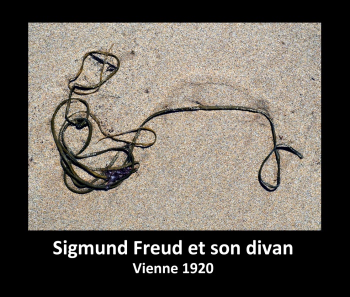 Freud et son divan.jpg