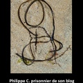 Philippe C. prisonnier de son blog