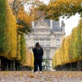 Jardin des Tuileries, mercredi 7 novembre