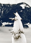 Le grand méchant loup blanc