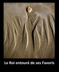 Les Favoris du Roi d'Espagne