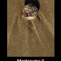 Moctezuma.jpg