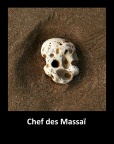 Chef Massaï