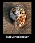 Nabuchodonosor