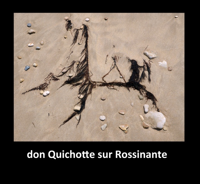 don Quichotte etRossinante.jpg