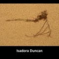 Isadora Duncan.jpg