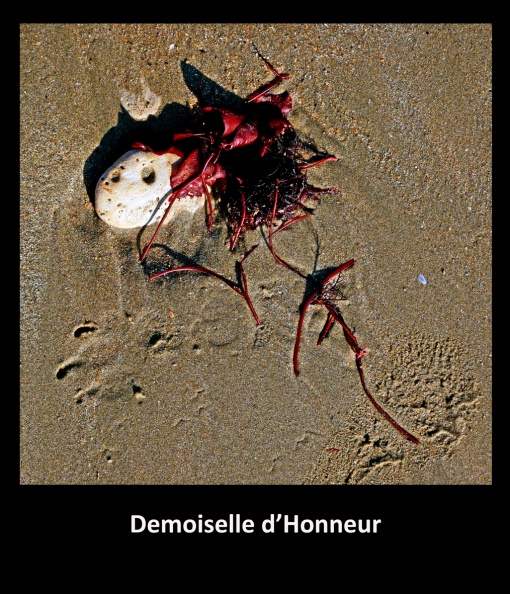 Demoiselle d'Honneur.jpg