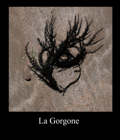 La Gorgone.jpg