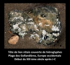 Campagne de fouilles archéologiques sur le site des Gollandières
