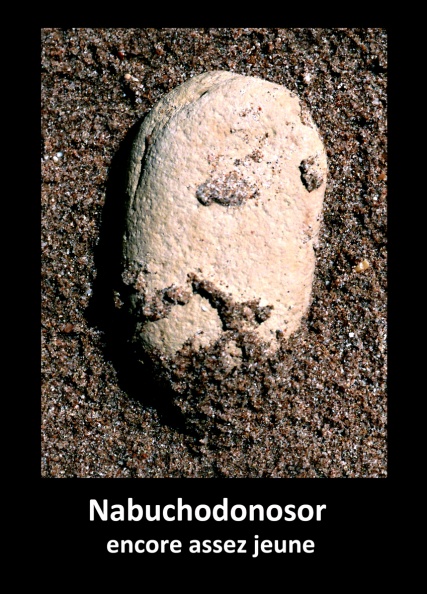 Nabuchodonosor jeune.jpg