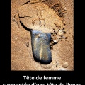 Femme Lionne