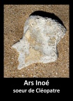 Le nez d'Ars Inoez