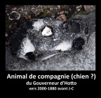 Animal de compagnie