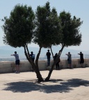 Cagliari