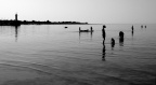 La Flotte, juin 19