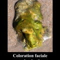 coloration du visage