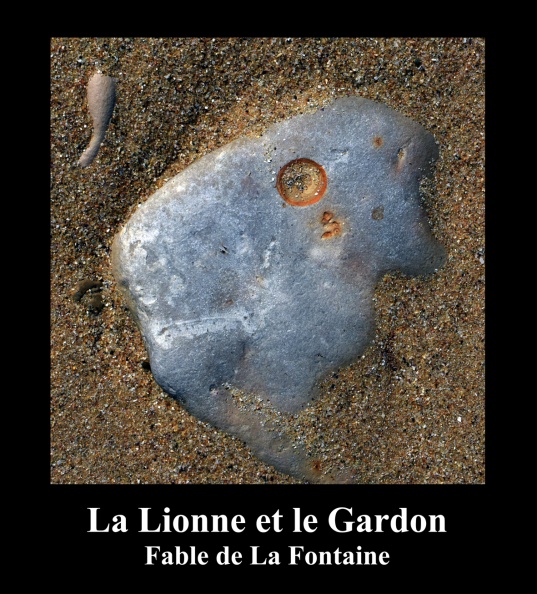 La Lionne et le Gardon.jpg