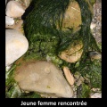 La courtisane