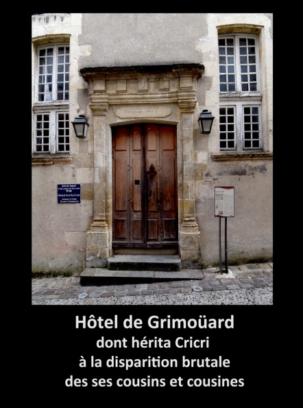 Hôtel de Grimoüard.jpg
