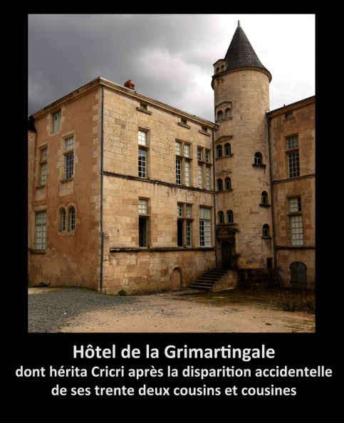 Château de la Grimartingale.jpg