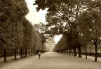 Les Tuileries, Paris le samedi 7 septembre