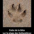 La Bête des Gollandières