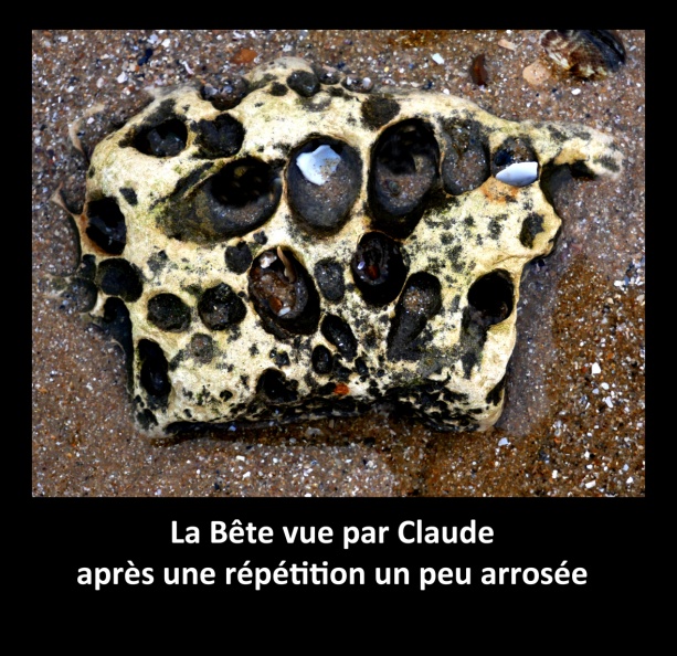 La Bête vue par Claude.jpg