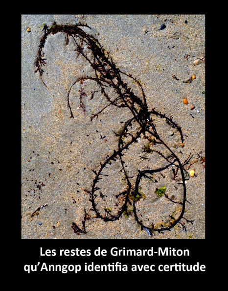 Grimard-Miton  les restes.jpg