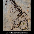 Grimard-Miton  les restes
