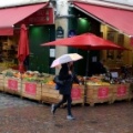 a Paris  Parapluies D600 226 bis mmm.jpg
