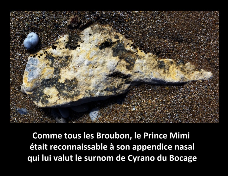 Mimi de Broubon, le Cyrano du Bocage.jpg