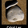 Cricri I er, premier roi Grimarovingien