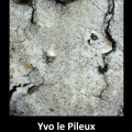 Sépulture d'Yvo le Pileux.jpg
