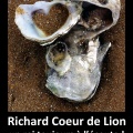 Portrait de Richard Coeur de Lion.jpg