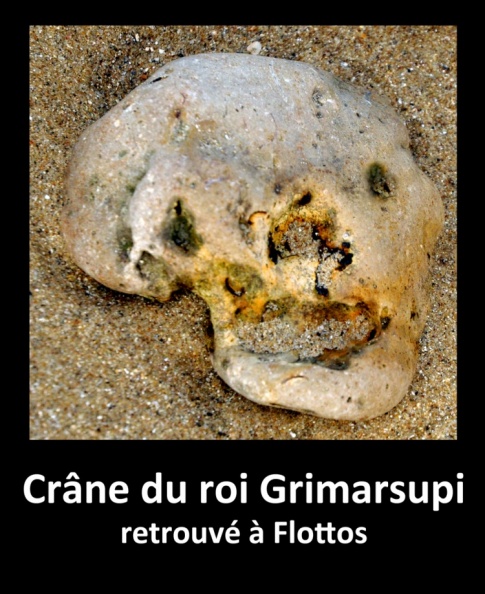 Crâne du roi Grimarsupi.jpg