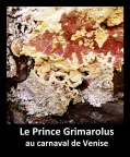 Grimarolus à Venise