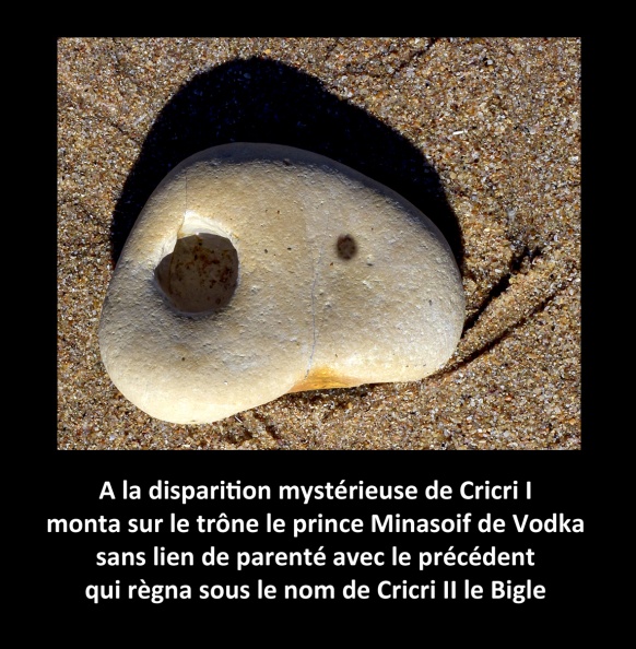 a Ré mars 20 NKz 4 530 ter leg bismm.jpg
