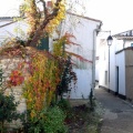 Ré 27 nov 20