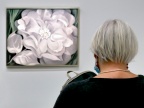 O'Keeffe nov 21