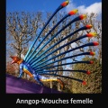 Anngop-Mouches Femelle