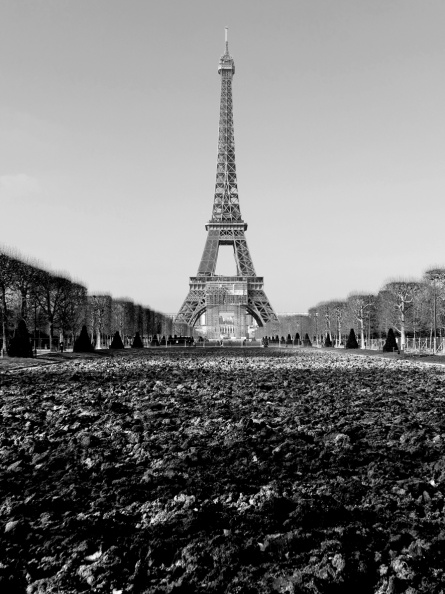 a Paris janv 22 117 bis nb 2 mmm.jpg