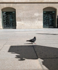 Stop and Shoot au Jardin des Plantes