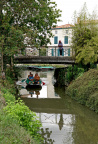 Le Marais Poitevin 2019-2022. Fontenay, Maillezais, Coulon, Le Vanneau et les autres