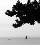 a DSC 5511 sixte mmm