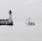 a DSC 5550 quinte 2 mmm 2